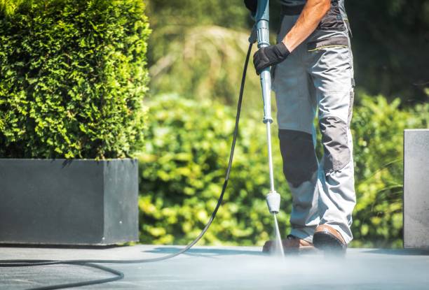 Best Animal Enclosure Cleaning  in Port St Joe, FL
