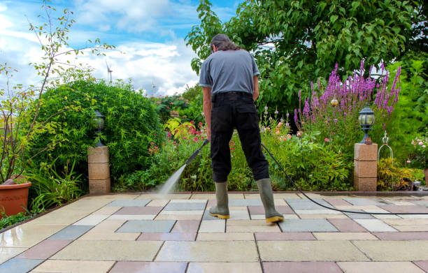 Best Sidewalk and Walkway Cleaning  in Port St Joe, FL